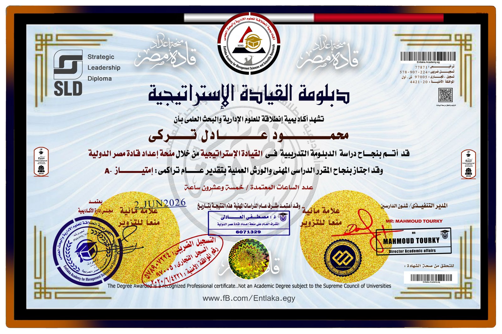 نموذج دبلومة القيادة الاستراتيجية